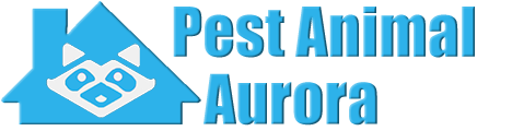 Aurora Wildlife and Animal Removal